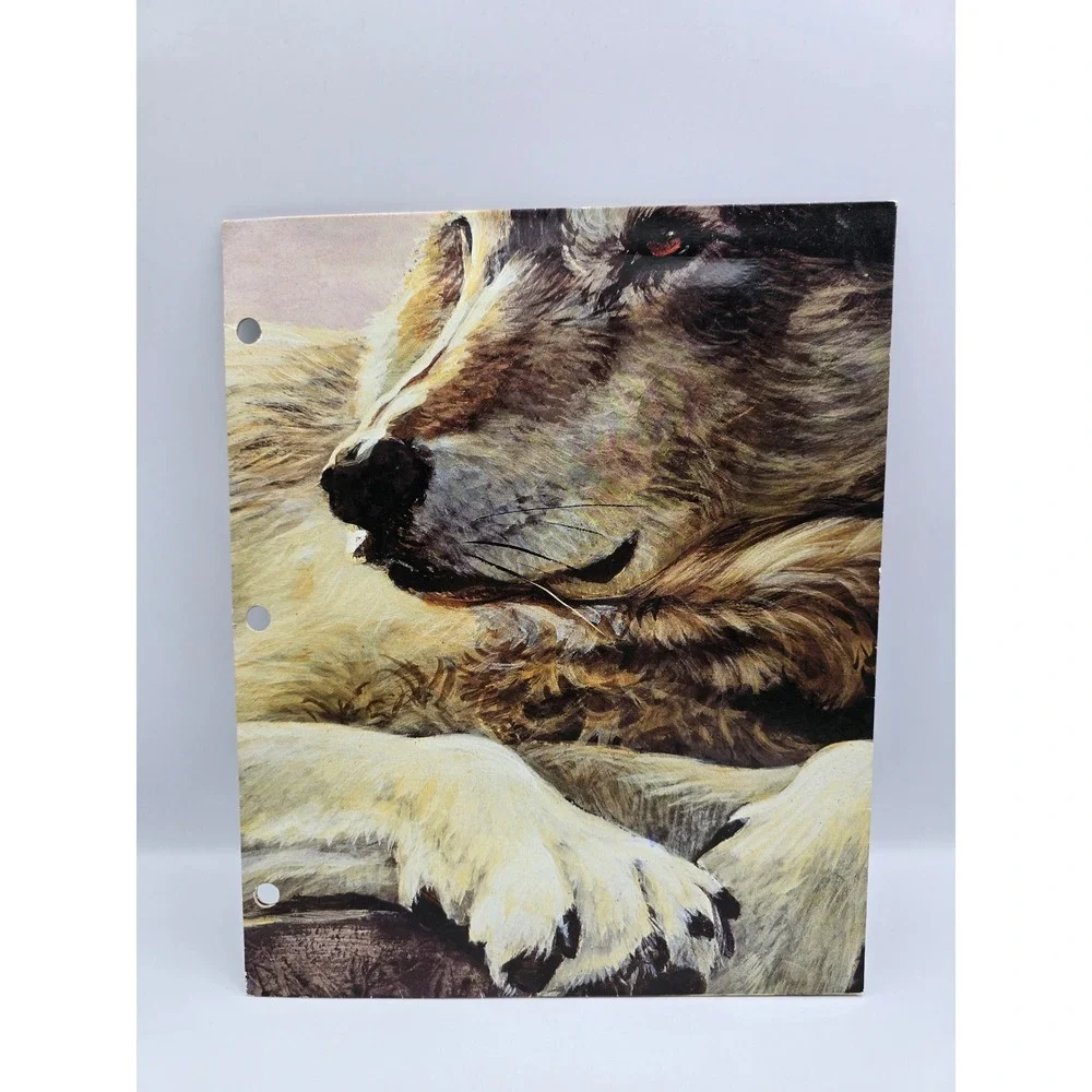 Raymond Geddes Wolf Folder Kids OS Brown‎ Excellent 1998 Jan Martin McGuire Art